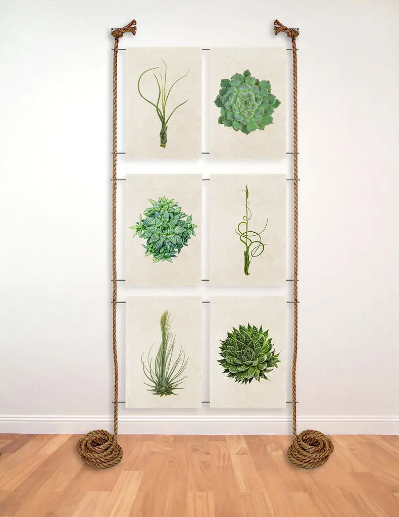 6 Print Rope And Steel Display 1