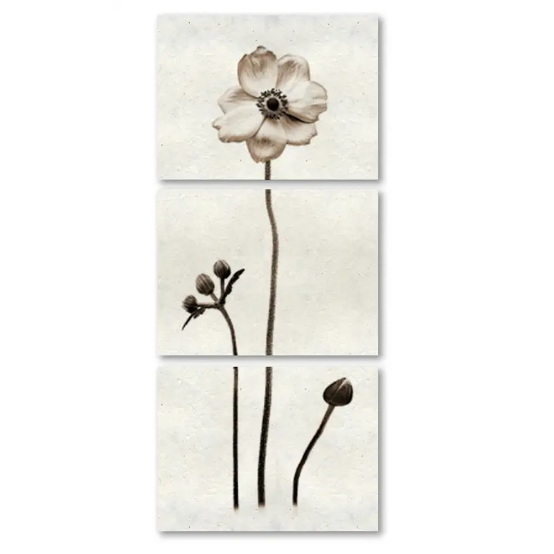 Anemone Trilogy 1