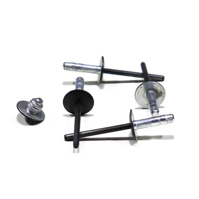 Black Pop Rivet 1