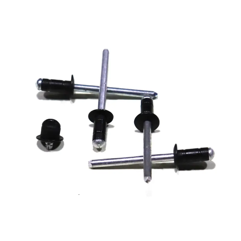 Black Pop Rivet 1