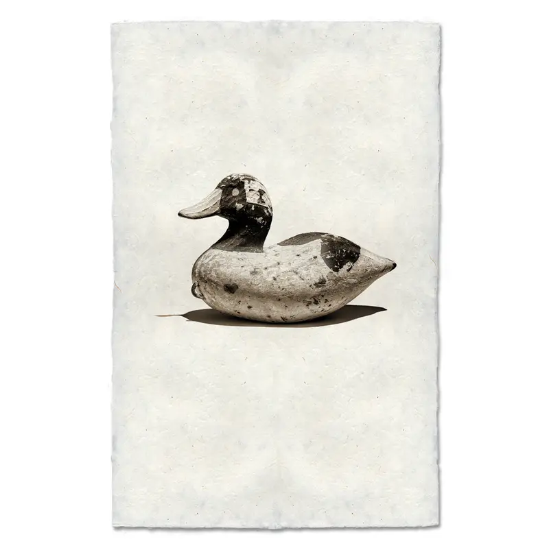 Bufflehead Decoy 1