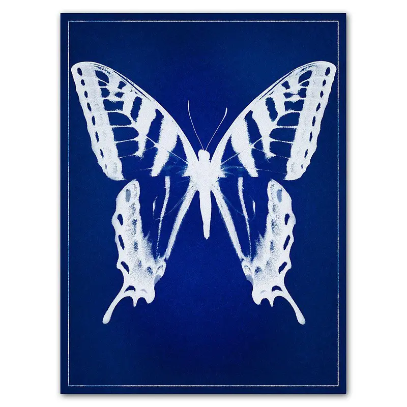 Butterfly Blue Print 1
