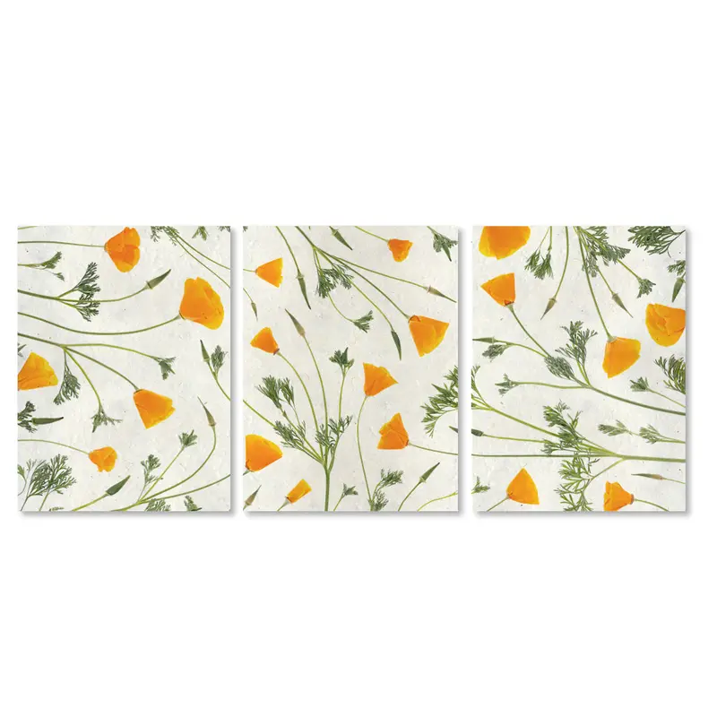 California Poppy Trilogy 1