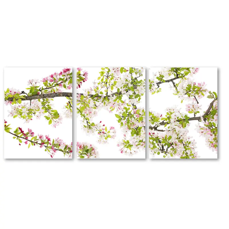 Cherry Blossom Trilogy 1