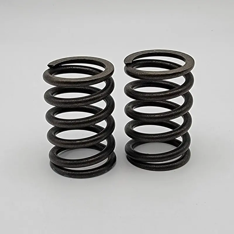 Cjr Hd Valve Spring Set - Crf110 1