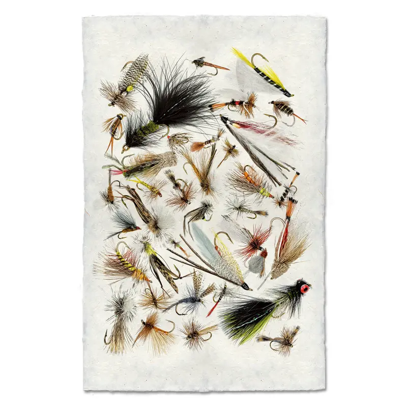 Collective Fishing Flies 1