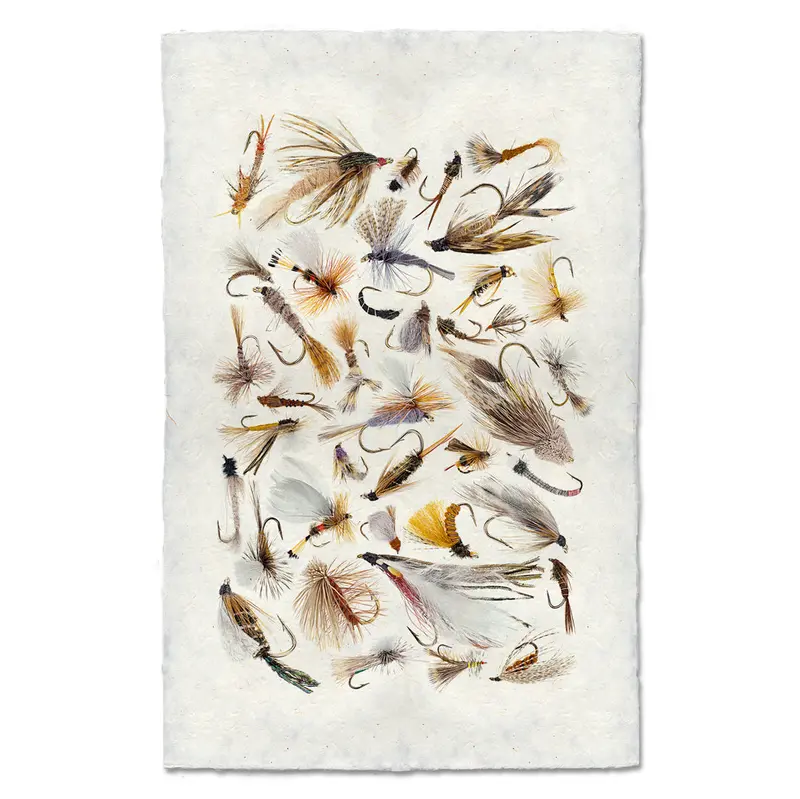 Collective Fishing Flies #2 1