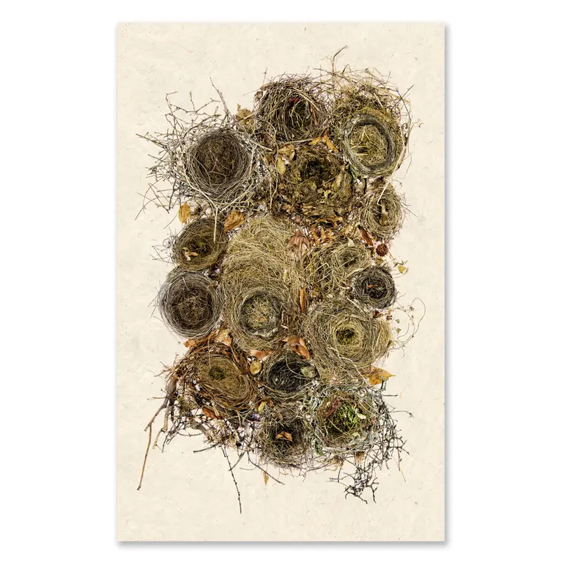 Collective Nests Grand Format 1
