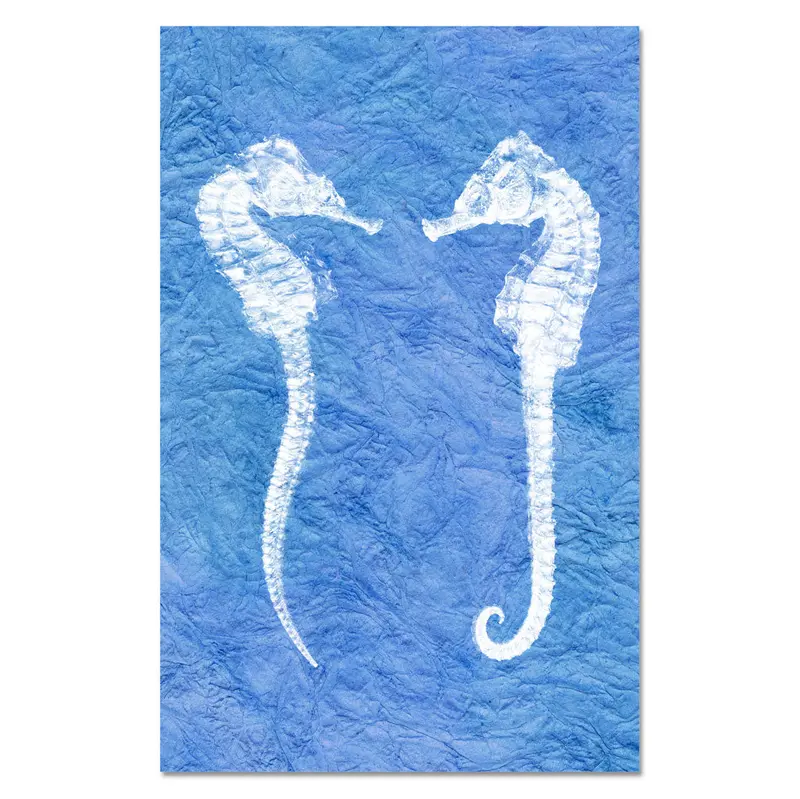 Double Seahorse 1