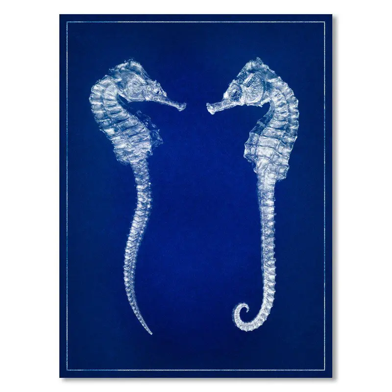 Double Seahorse Blue Print 1