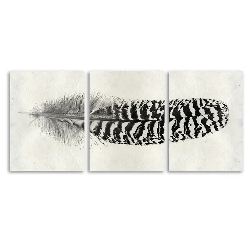 Feather #13 (Mottled Peacock Wing Quill) Trilogy 1