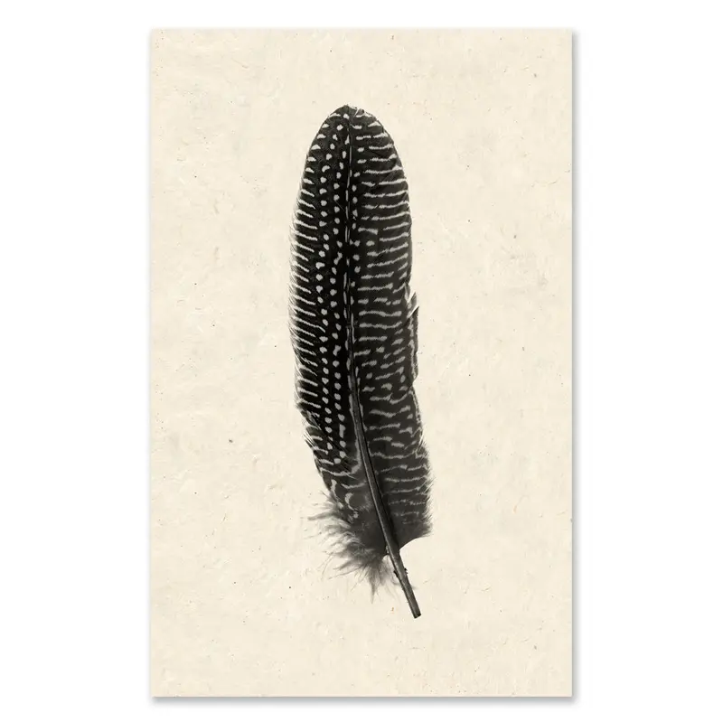 Feather #5 Grand Format 1