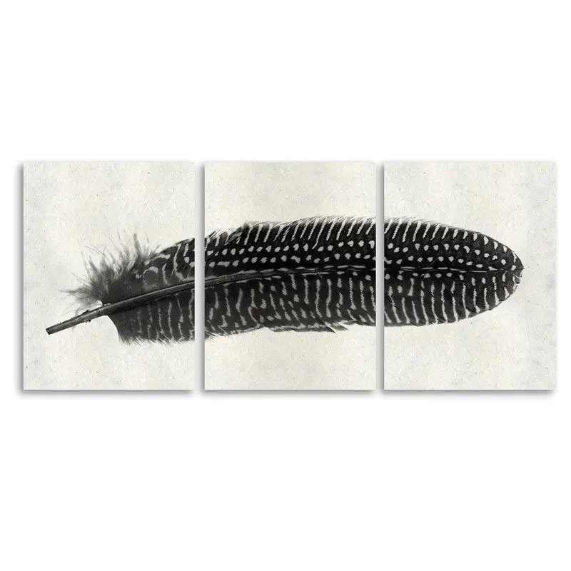 Feather #5 Trilogy Horizontal 1