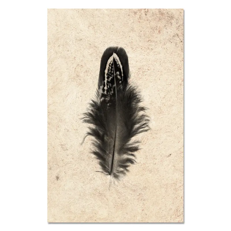 Feather Study #3 (Mallard Duck) 1