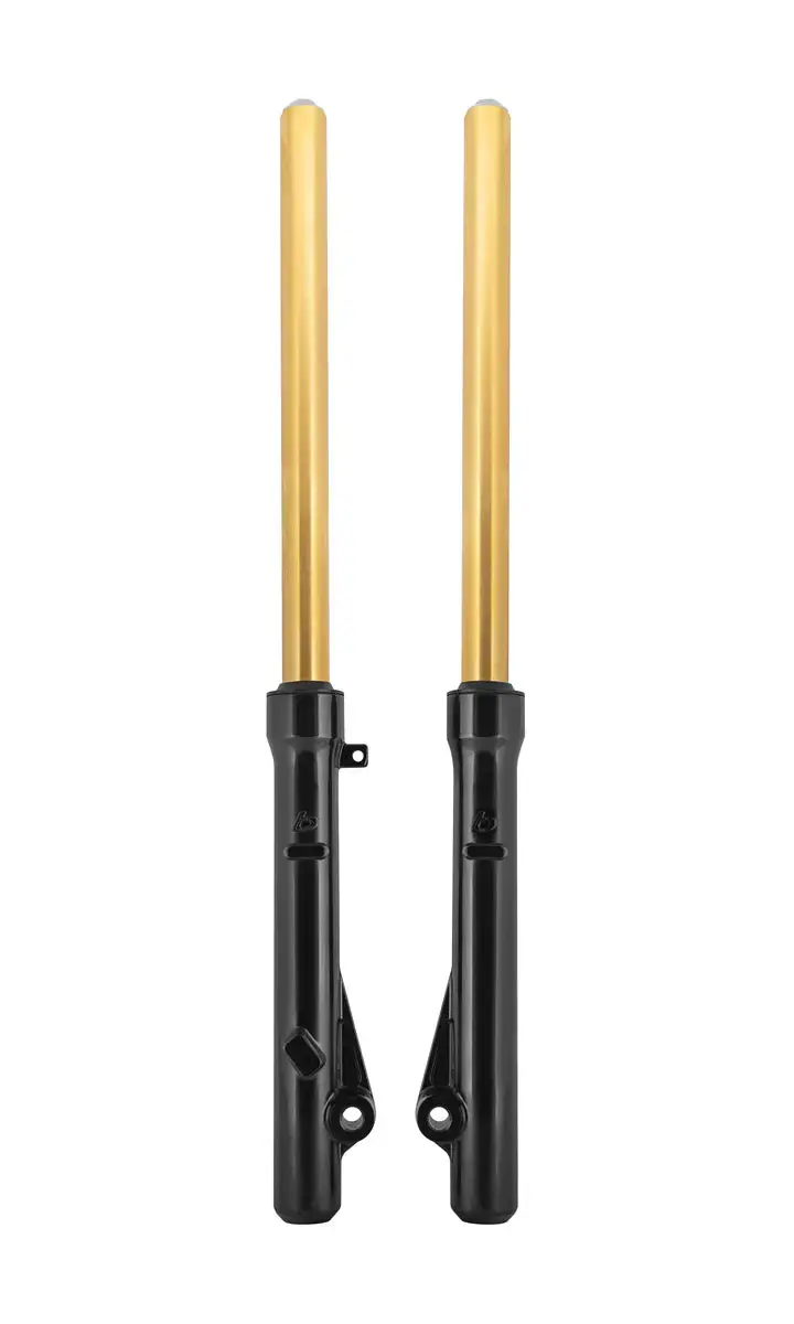 Gold Tin Coated Extended Fork Assembly Set – Crf110 1