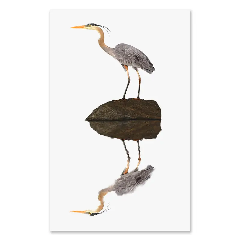 Great Blue Heron Grand Format 1