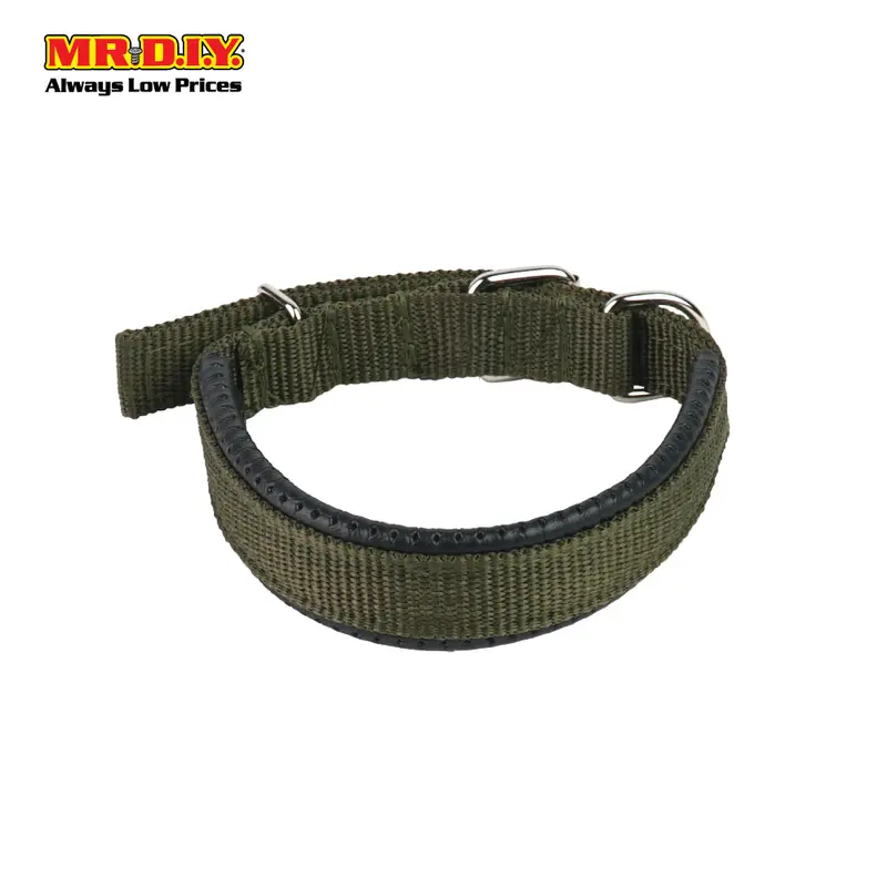 Jin Xin Pet Collar 1