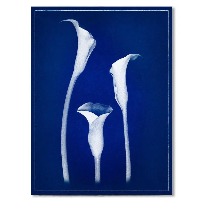 Lilies Blue Print 1