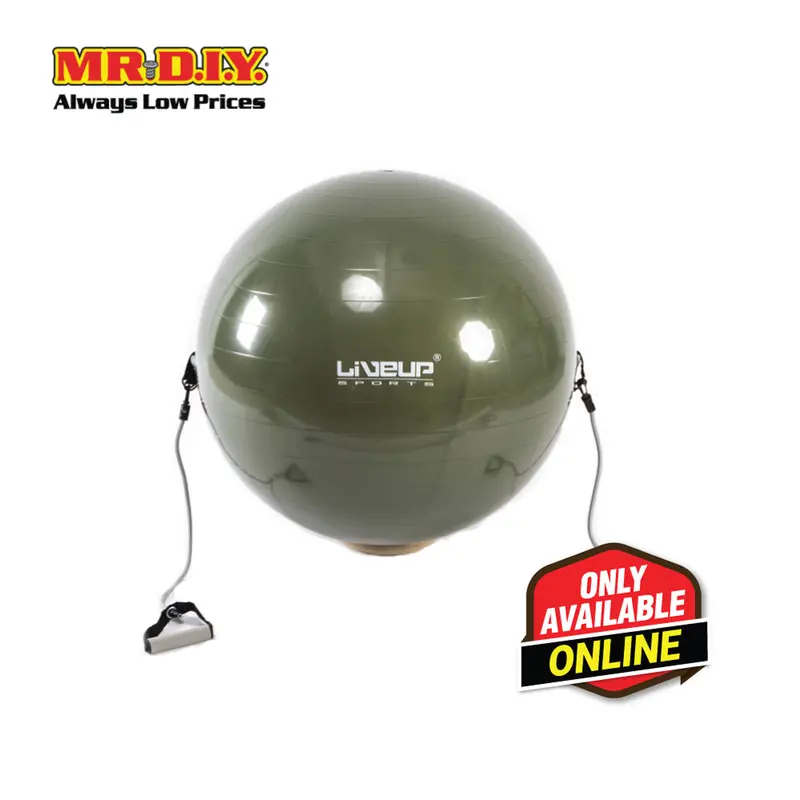 Liveup Sports Exercise Gym Ball With Expander - Grey (65Cm) Ls3227 1