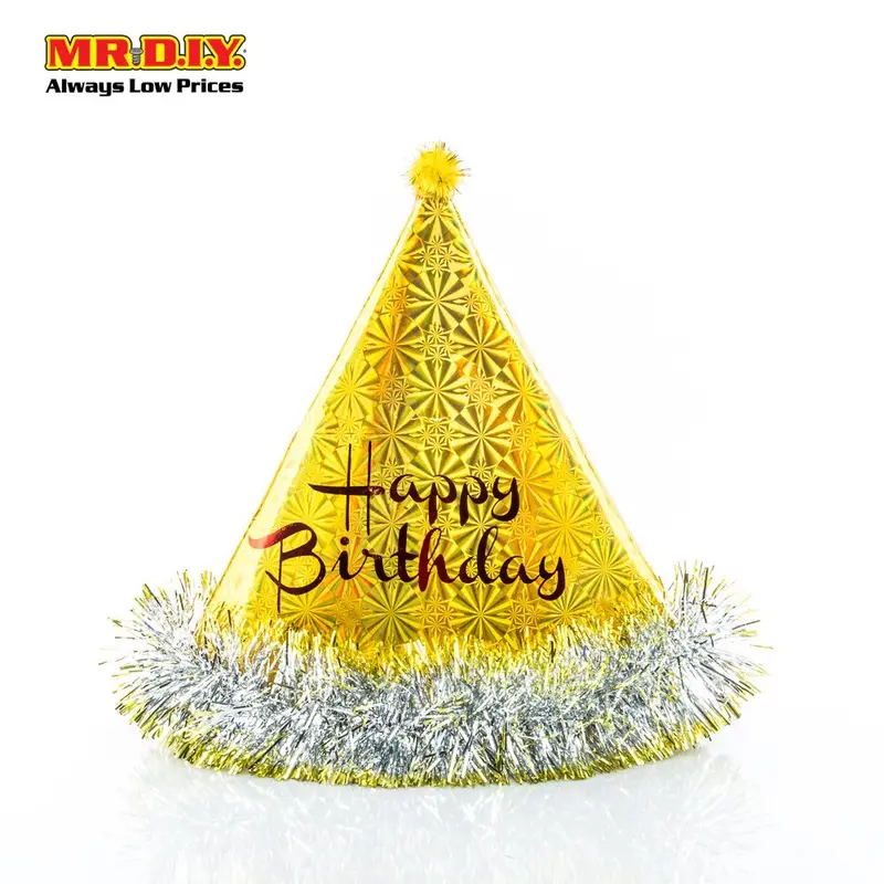 (Mr.Diy) Party Hat 1