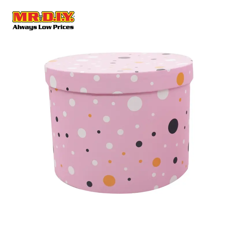 Multipurpose Plastic Gift Box (21X16cm) 1