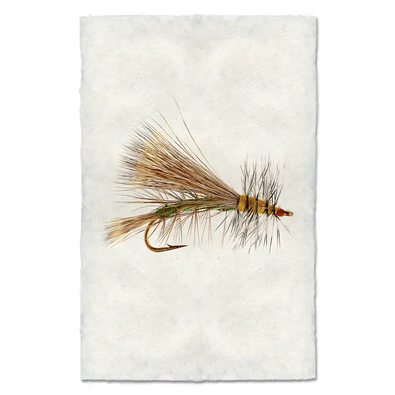 Olive Stimulator 1