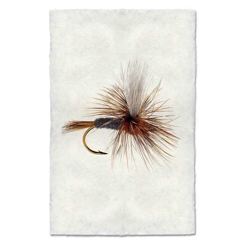 Parachute Adams 1