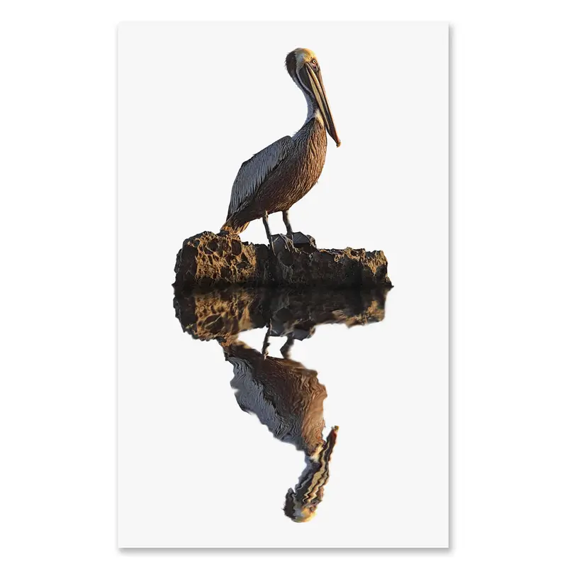 Pelican Grand Format 1