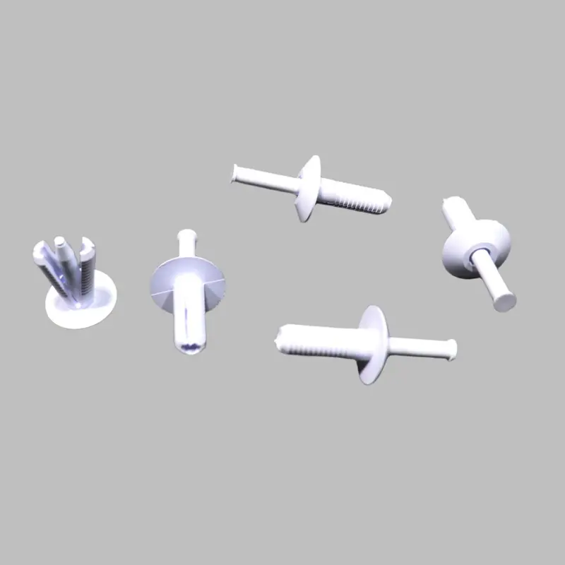 Plastic Expansion Rivet 1