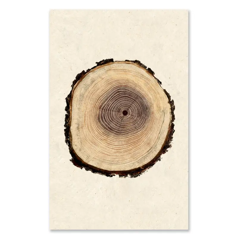 Poplar Grand Format 1