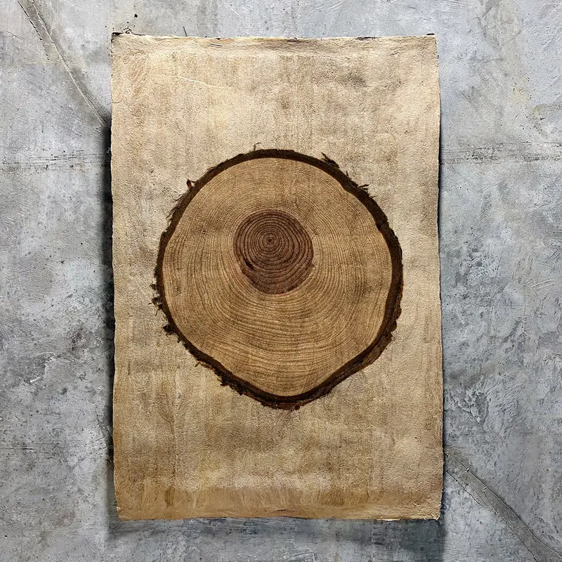 Redwood (Amate Sierra) 1