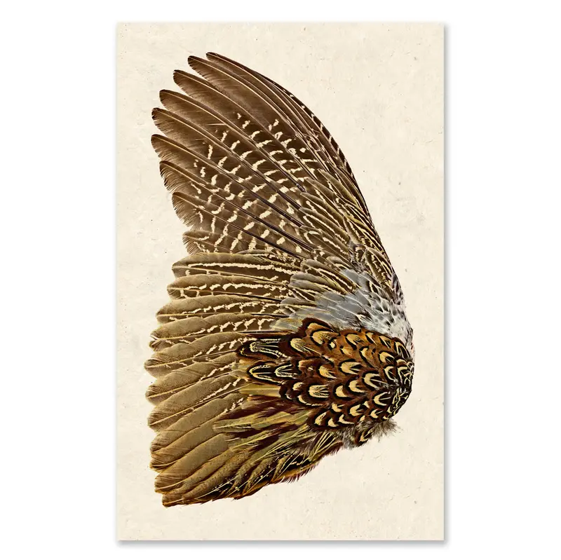 Ring Neck Pheasant (Left) Grand Format 1