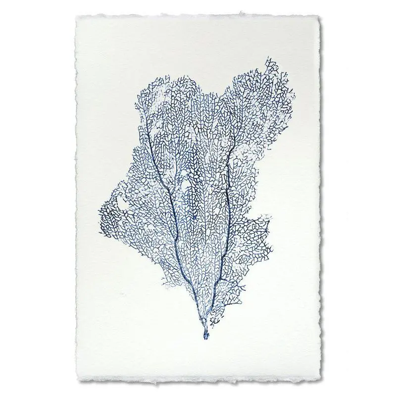 Sea Fan #1 Grand Format 1