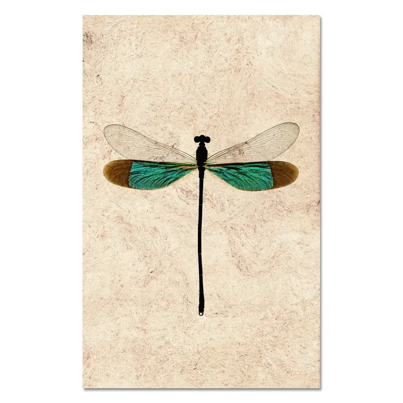 Turquoise Damsel 1